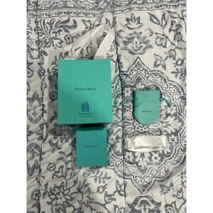Tiffany & Co The Landmark NYC bag box pouch ribbon set packaging